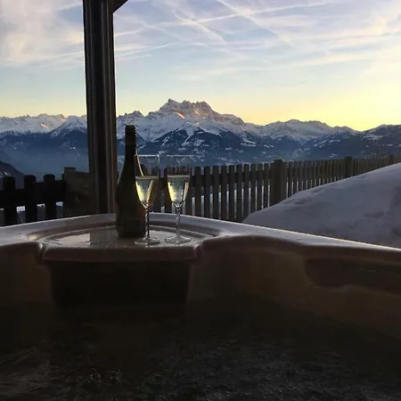Guest house La Riondaz Leysin